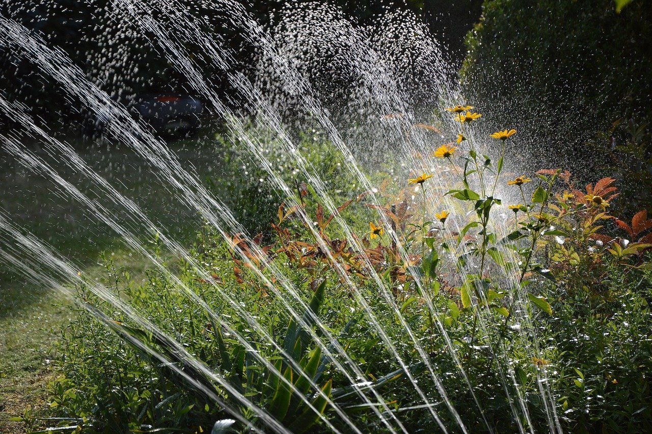 garden, irrigation, water